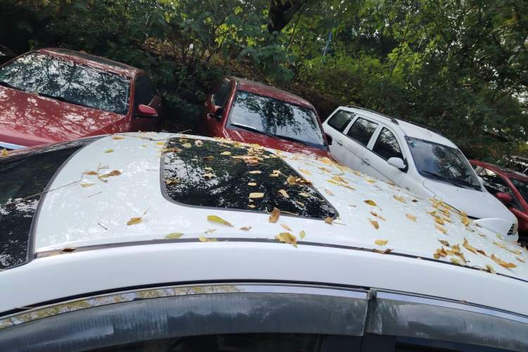 Used Honda Crider 2019 180 Turbo CVT Leading Edition China V
