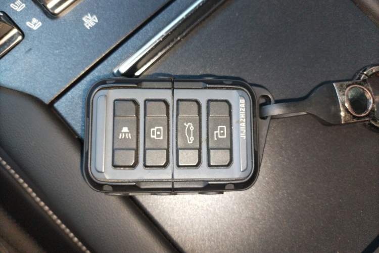 Used Tank 300 New Energy 2025 Hi4-T
