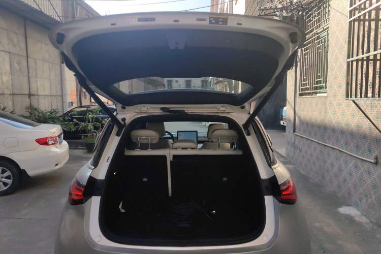 Used  #1 2024 Dynamic Standard Edition