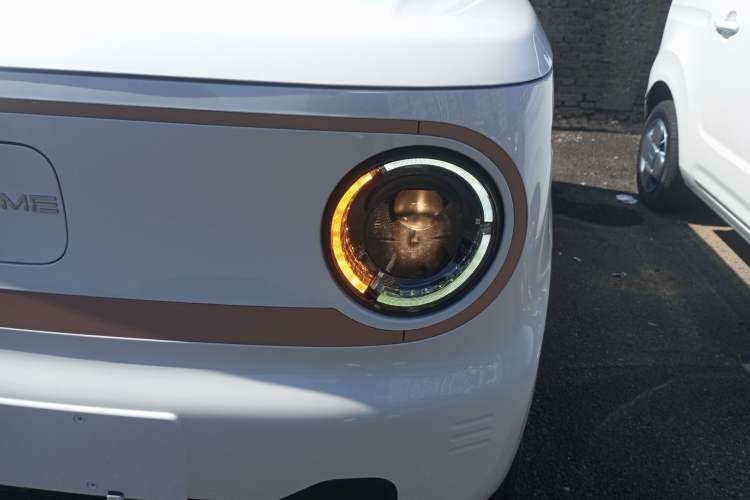 Used  Panda 2024 Panda Mini 200km Endurance Bear
