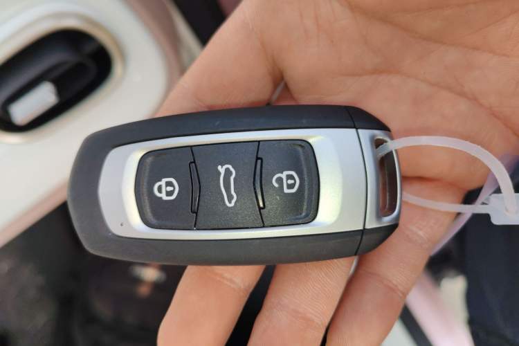 Used  Panda 2025 210 km – Yuanqi Bear
