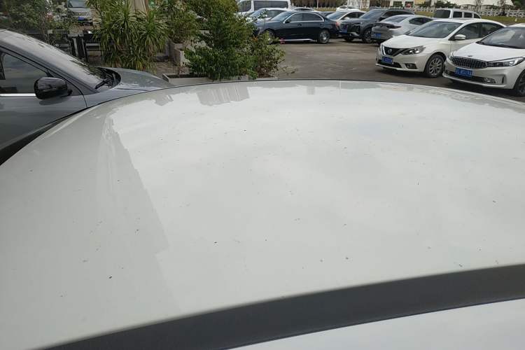 Used Ford Focus 2012 Sedan 1.6L Automatic Comfort Model
