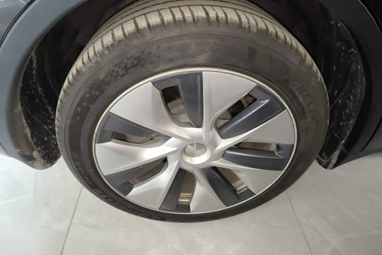 Used Tesla Model Y 2021 Standard Range Rear-Wheel Drive Version
