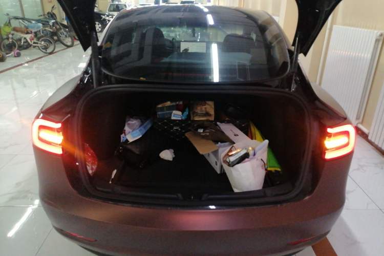 Used Tesla Model 3 2022 Performance High-Performance All-Wheel-Drive Version