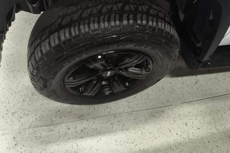 Used Tank 300 2021 Off-Road Edition 2.0T Conqueror
