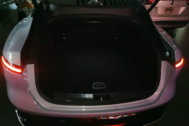 Used  06 2025 Pro Range-Extended Edition
