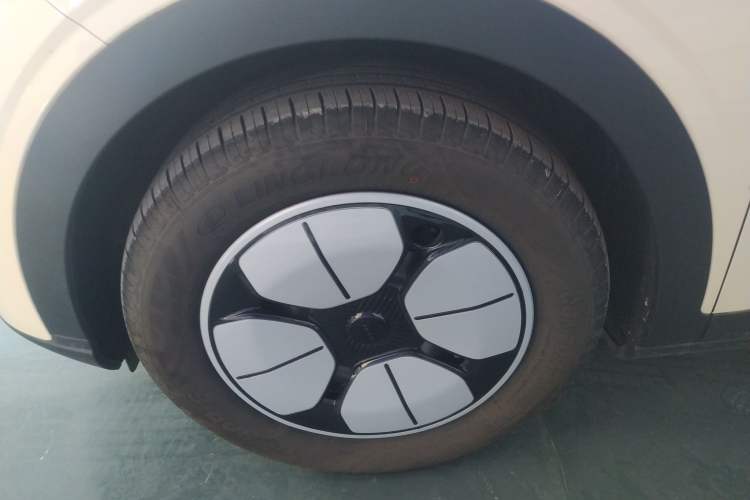 Used  Geome 2025 310km Youth Edition
