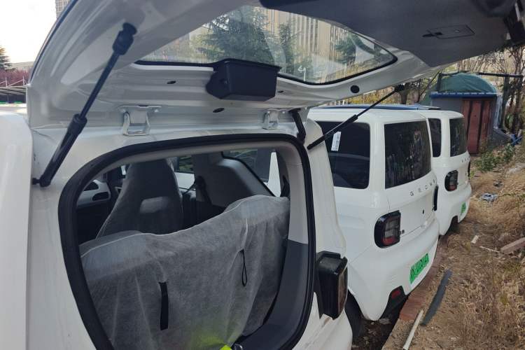 Used  Panda 2024 Panda Mini 200km Endurance Bear
