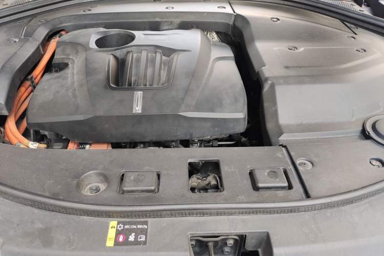 Used Wey P8 2018 2.0T Flagship Model
