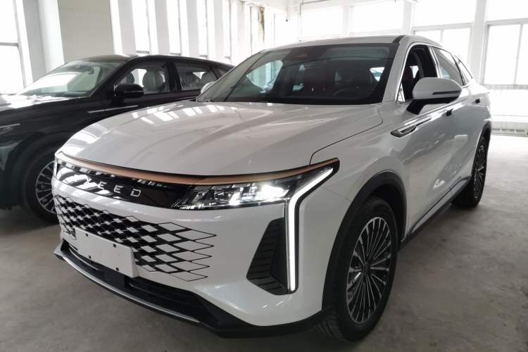 Used EXEED Stellar 2023 400T Two-Wheel Drive Comfort Flyfish Edition