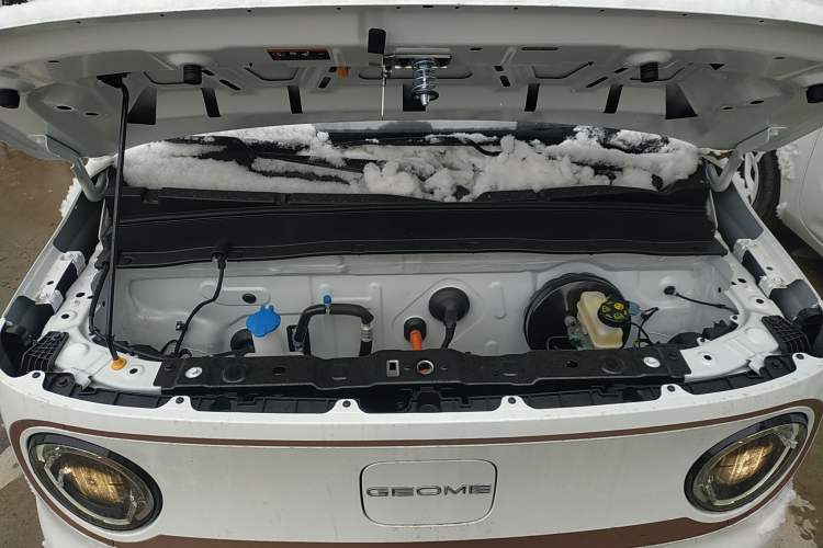 Used  Panda 2024 Panda Mini 200km Endurance Bear
