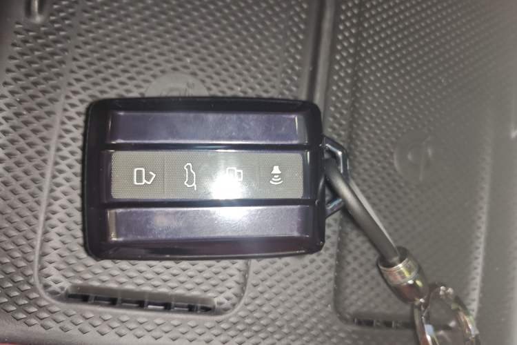 Used Tank 300 New Energy 2024 Hi4-T