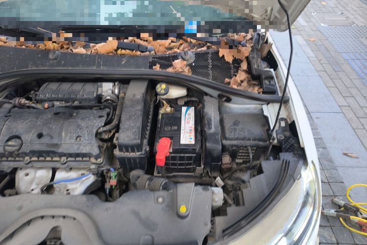 Used Citroen C3-XR 2015 1.6L Manual Pioneer Model
