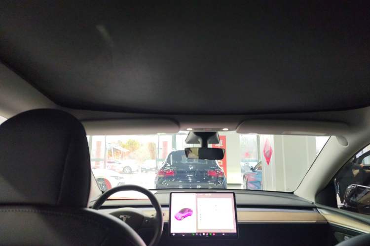 Used Tesla Model Y 2021 Standard Range Rear-Wheel Drive Version
