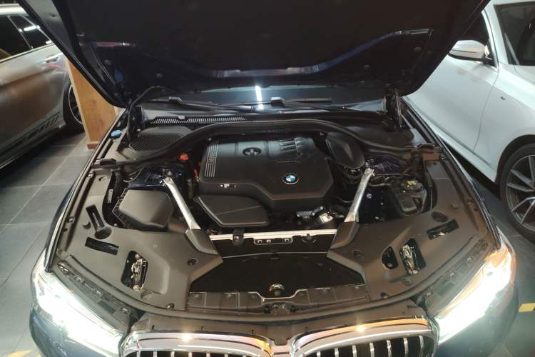 Used BMW 5 Series 2022 525Li Luxury Package
