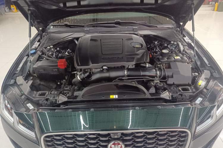 Used Jaguar XFL 2023 XFL 2.0T P250 Two-Wheel-Drive Elite Sport Edition
