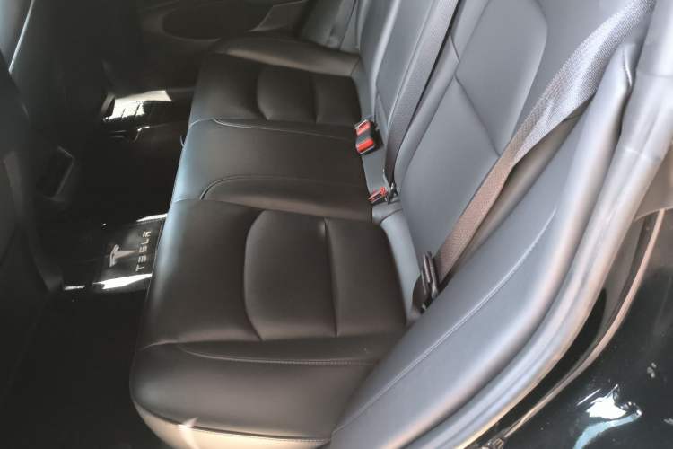 Used Tesla Model 3 2020 Standard Range Rear-Wheel Drive Upgraded Version
