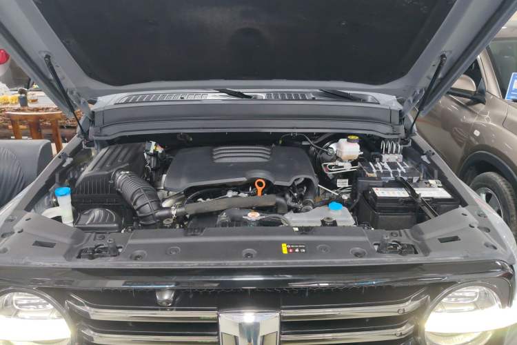 Used Tank 300 2021 City Edition 2.0T—Truly Stylish