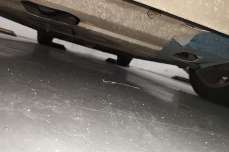 Used Nissan Sylphy 2019 Classic 1.6XL CVT Luxury Edition
