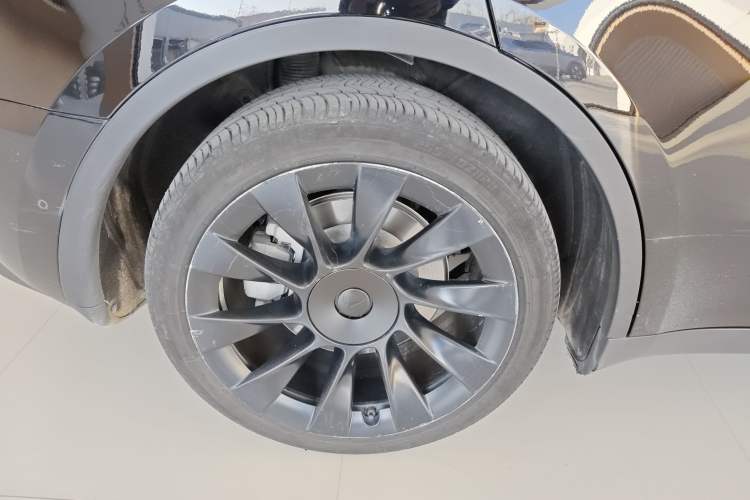 Used Tesla Model Y 2021 Standard Range Rear-Wheel Drive Version
