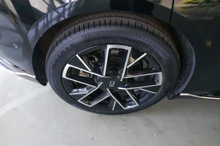 Used  06 2025 Max Extended-Range Edition
