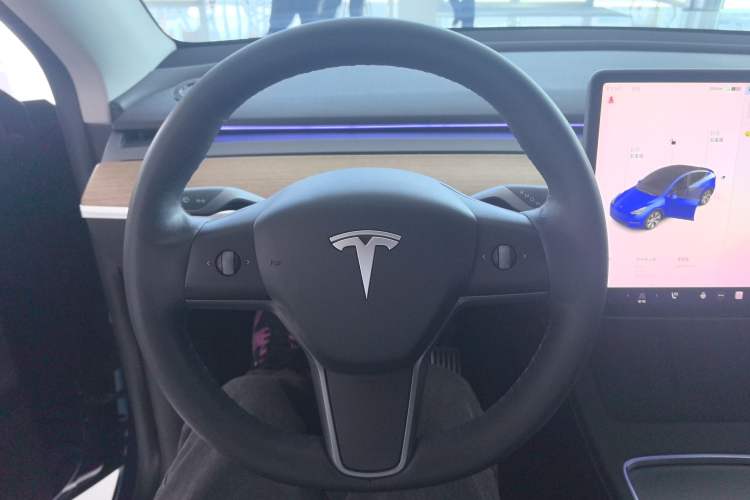 Used Tesla Model Y 2021 Standard Range Rear-Wheel Drive Version