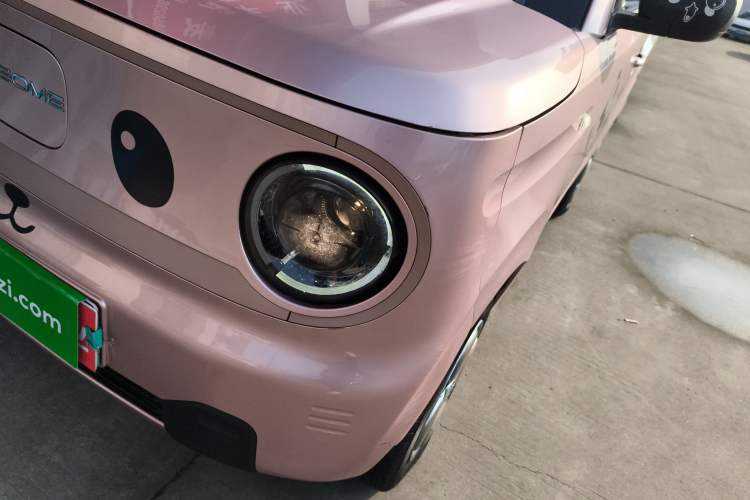 Used  Panda 2024 Panda Mini 200km Endurance Bear