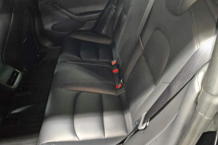 Used Tesla Model 3 2022 Rear-Wheel-Drive Version
