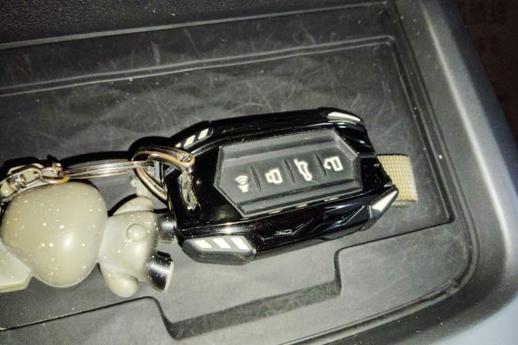 Used Tank 300 2023 Off-Road Edition 2.0T Conqueror
