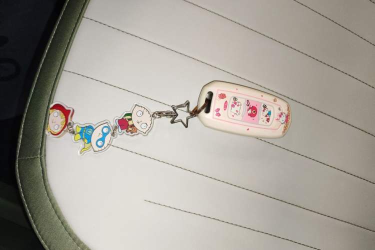 Used Geely Galaxy Panda 2025 210km Panda Rider
