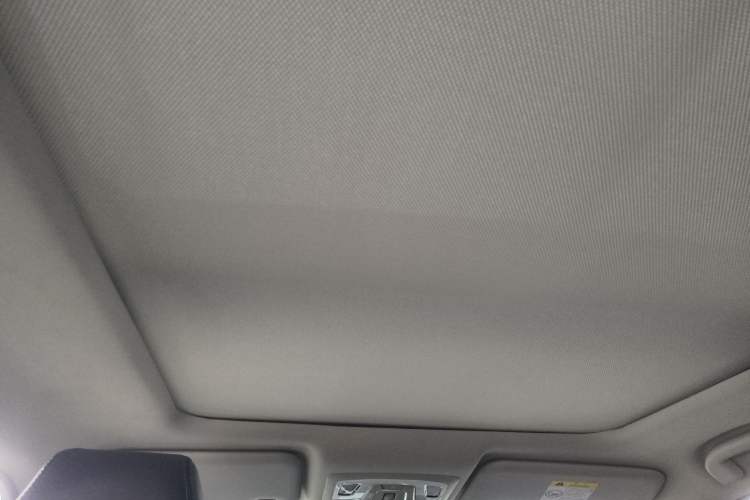 Used Venucia T60EV 2020 AI Enjoyment Model
