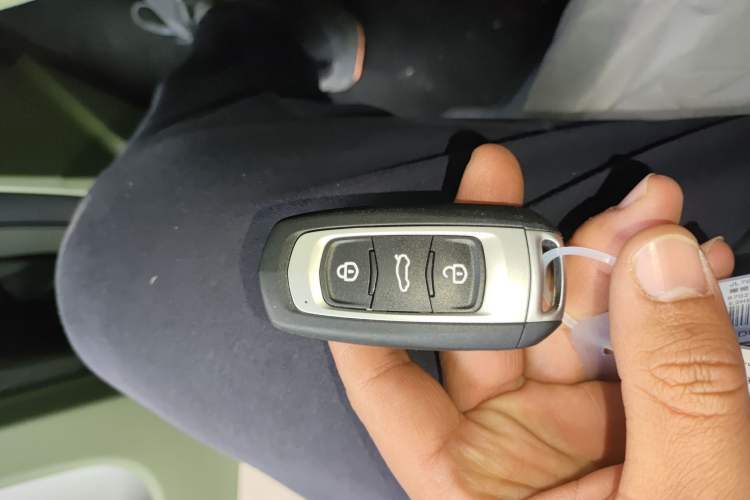 Used  Panda 2025 210km Panda Rider
