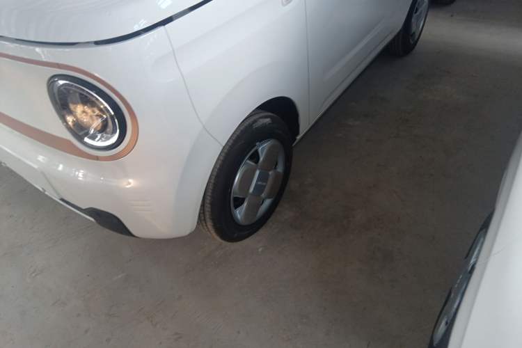 Used  Panda 2024 Panda Mini 200km Endurance Bear