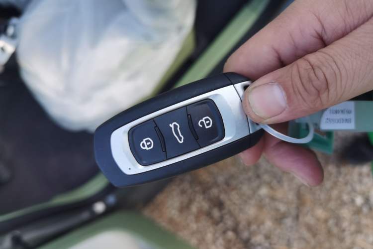 Used  Panda 2025 210km Panda Rider