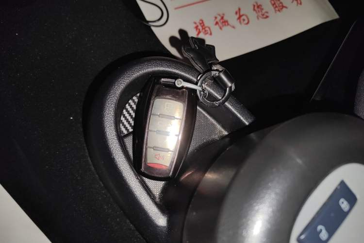 Used ORA Black Cat 2021 301 km Basic Version
