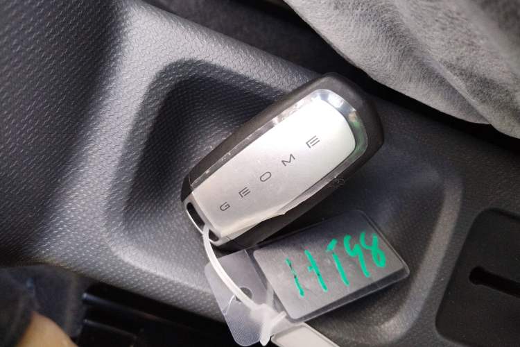 Used  Panda 2025 210 km – Yuanqi Bear