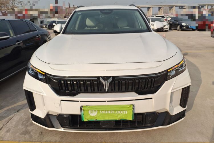 Used VOYAH FREE 2025 318 318 km Rear-Drive Touring Edition
