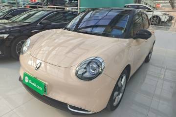 Used ORA Good Cat 2023 401 km Standard Range Premium Version Lithium Iron Phosphate