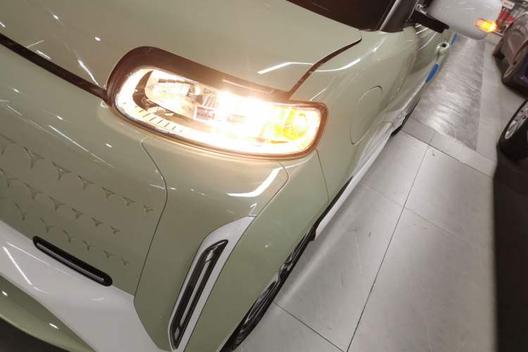 Used ORA White Cat 2022 Xiaoyue Mao Edition 360 km Luxury Model Lithium NMC
