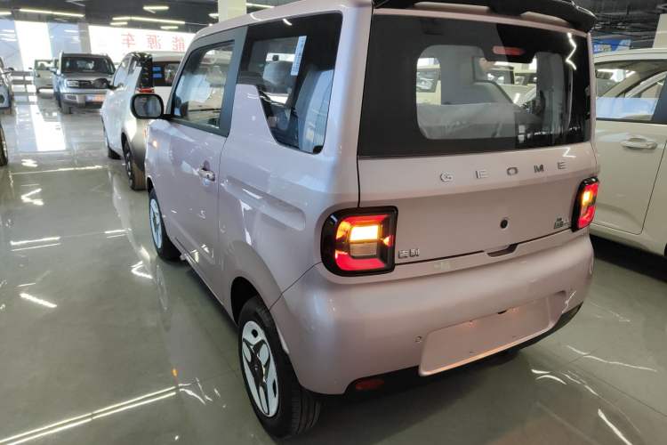 Used  Panda 2025 210 km – Yuanqi Bear