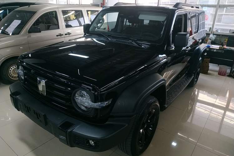 Used Tank 300 2024 2.0T Conqueror