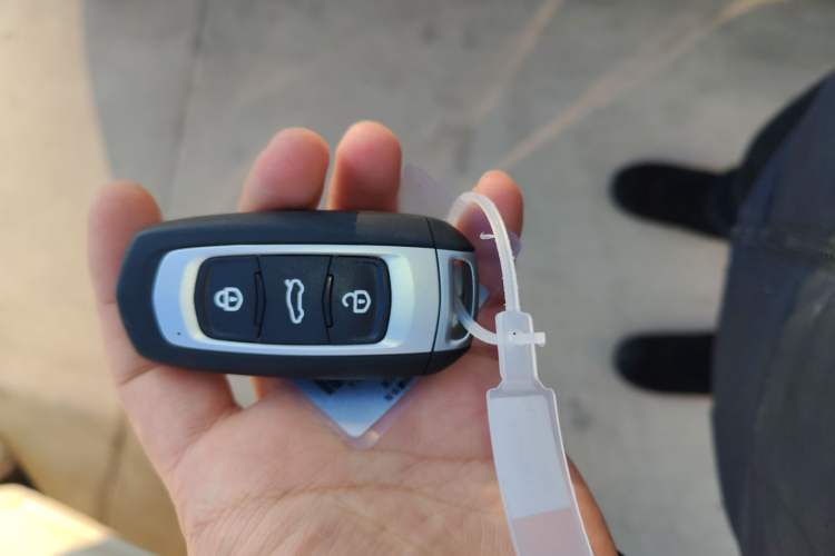 Used  Panda 2025 210 km – Yuanqi Bear
