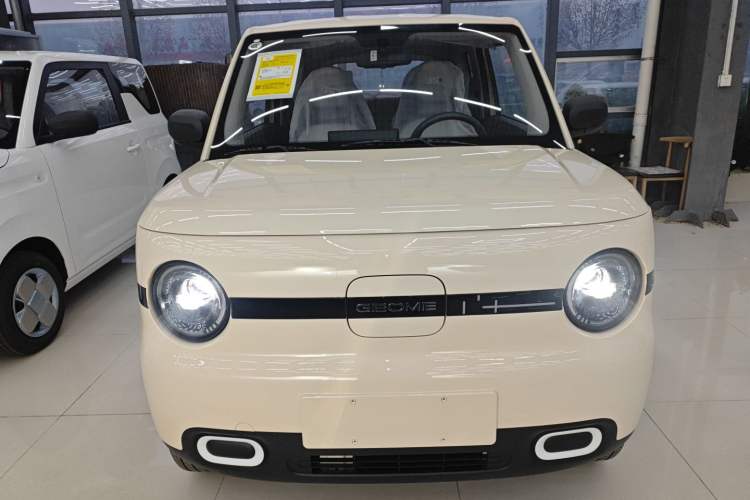 Used  Panda 2025 210 km – Yuanqi Bear
