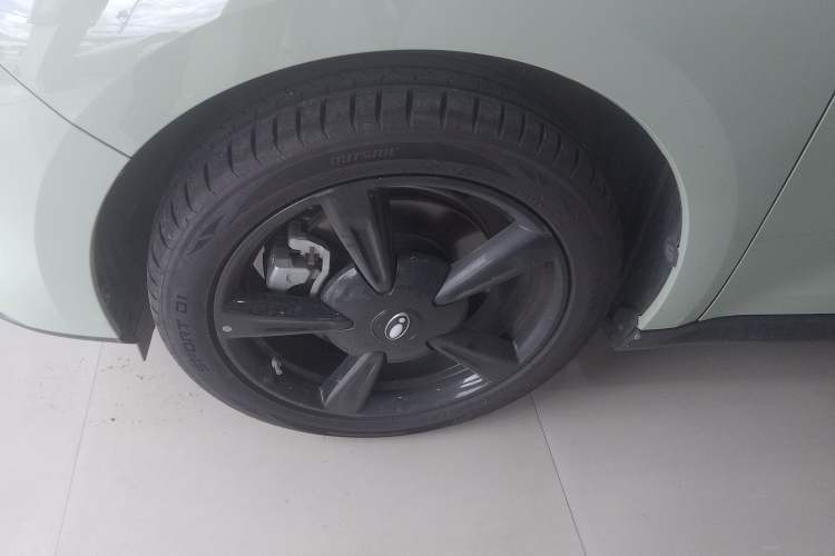 Used ORA Good Cat 2024 401 km Luxury Version
