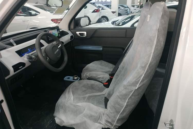 Used  Panda 2024 Panda Mini 200km Endurance Bear