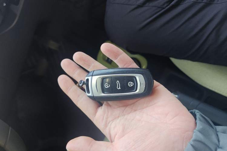 Used  Panda 2024 Panda Mini 200km Endurance Bear
