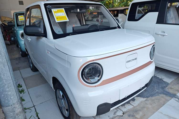 Used  Panda 2024 Panda Mini 200km Endurance Bear
