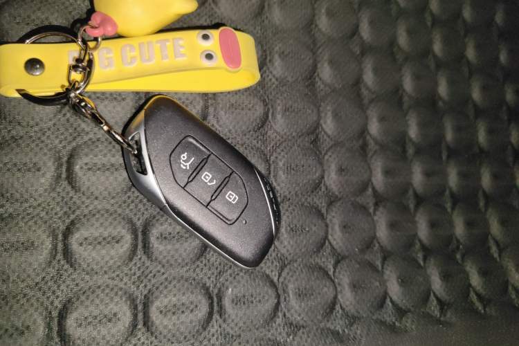 Used FORTHING T5 EVO 2024 Kungbiao Edition 1.5TD DCT Platinum Model
