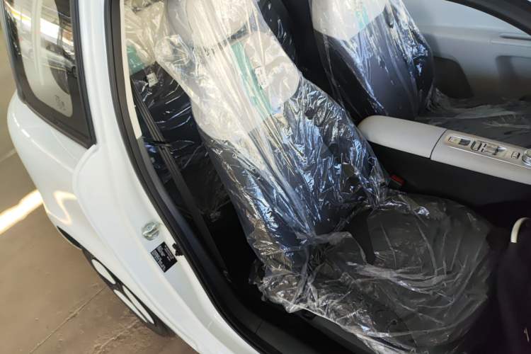 Used  Lumin 2025 205 km Xiangqin Version
