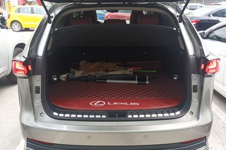 Used Lexus NX 2020 200 Front-Wheel Drive Freeline Edition China VI Standard
